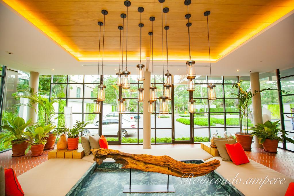 Raincondo Ampere تشا أم المظهر الخارجي الصورة