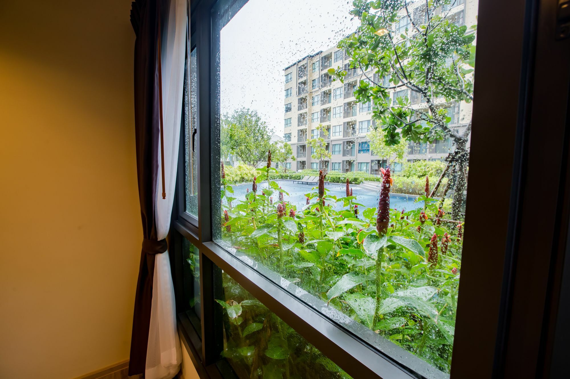 Raincondo Ampere تشا أم المظهر الخارجي الصورة
